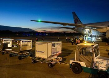 Esta semana llegan casi 5 millones de vacunas