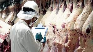 Las restricciones para exportar carne continuarán hasta fin de octubre