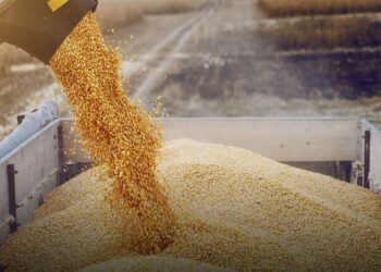 El Gobierno baja las retenciones para varios productos del campo desde enero de 2022