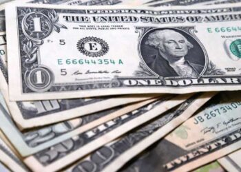 Dólar hoy: a cuánto cotizan el oficial y las otras opciones cambiarias este martes 15 de marzo