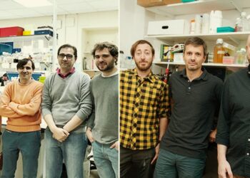 Descubrieron que una proteína sirve para detectar a tiempo enfermedades cardiovasculares