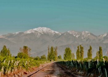 Se viene el primer Encuentro Regional del Turismo del Vino