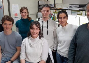 Descubrieron un mecanismo clave del virus que causa la bronquiolitis