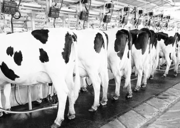 Los productos lácteos seguirán sin pagar retenciones por seis meses más