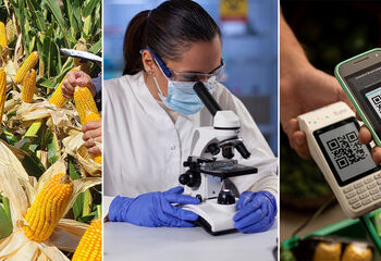 Dónde buscar trabajo: 7 sectores que tendrán demanda laboral en 2024