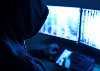 El Gobierno aprobó el Plan Federal de Prevención de Ciberdelitos y Gestión Estratégica de la Ciberseguridad