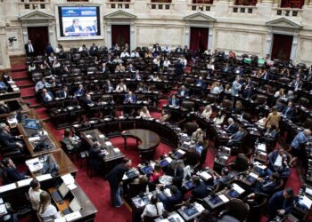 Empresas de Estados Unidos en Argentina destacan el respaldo de Diputados al DNU del acuerdo con el FMI