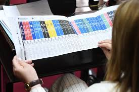 Boleta Única Papel: Formato aprobado