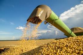 Dura crítica de la Provincia a Nación por la eliminación temporal de las retenciones para todos los granos