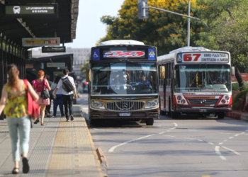 Colectivo Entre Jurisdicciones
