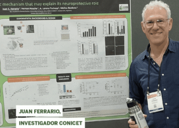 El consumo de mate podría contribuir a retrasar el Parkinson, según un estudio de la UBA