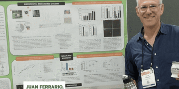 El consumo de mate podría contribuir a retrasar el Parkinson, según un estudio de la UBA
