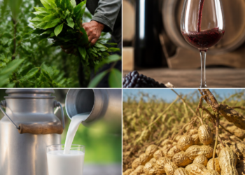 Semáforo de economías regionales: la yerba, el vino, la leche y el maní enfrentan dificultades por la baja rentabilidad