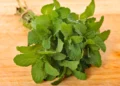 Uso de hojas de menta en horno y microondas: beneficios y aplicaciones