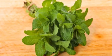 Uso de hojas de menta en horno y microondas: beneficios y aplicaciones