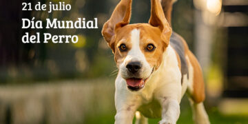 Celebración del Día Mundial del Perro: su importancia y significado