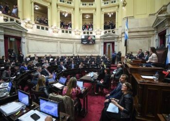 El Senado rechazó el voto remoto de Anabel Fernández Sagasti para el debate de la Ley de Tierras