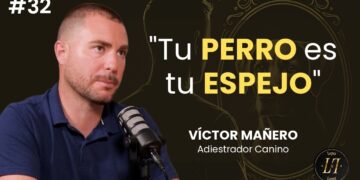 Consejos de un adiestrador canino sobre la llegada a casa: cómo evitar la mala educación en los perros