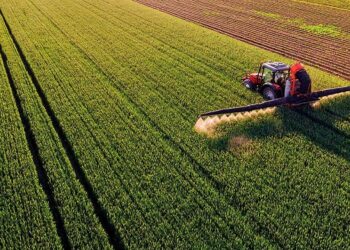 Los precios internacionales abren nuevas expectativas para la campaña agrícola 2026/27