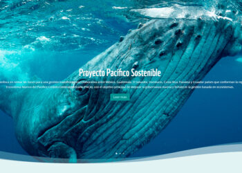 El impacto del ruido de embarcaciones en la comunicación de las ballenas