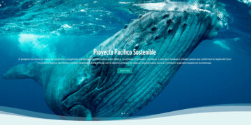 El impacto del ruido de embarcaciones en la comunicación de las ballenas