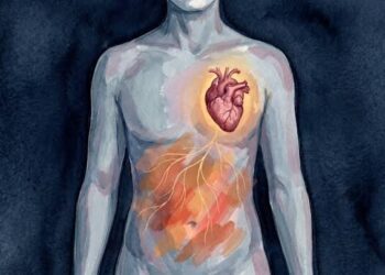 Un estudio advierte que la adiposidad central aumenta el riesgo de infarto y ACV