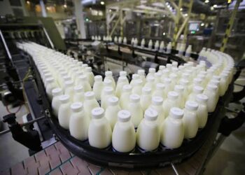Las exportaciones lácteas alcanzaron un récord histórico y Brasil concentró más de la mitad de las ventas