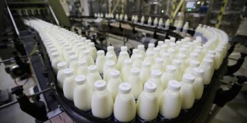 Las exportaciones lácteas alcanzaron un récord histórico y Brasil concentró más de la mitad de las ventas