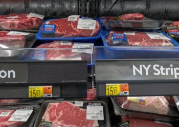 Carne vacuna: Argentina busca ganar espacio en los mercados premium y aumentar el valor de sus exportaciones