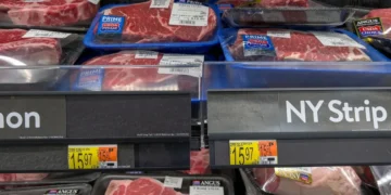 Carne vacuna: Argentina busca ganar espacio en los mercados premium y aumentar el valor de sus exportaciones
