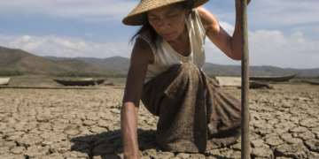 La ONU advierte sobre el riesgo inminente de superar el aumento de 1,5 °C establecido en el Acuerdo de París