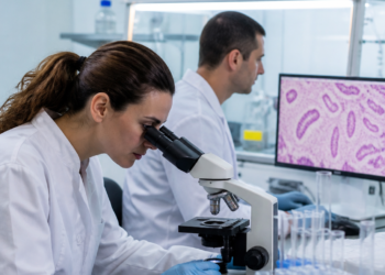 Cáncer de páncreas: revelan cómo las células tumorales logran sobrevivir y explorarán tratamientos potenciales