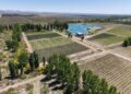 Tierra agrícola: por qué el campo vuelve a atraer a los inversores y qué rentabilidad ofrece