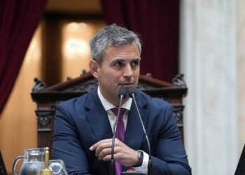 Discapacidad: el oficialismo busca avanzar con una nueva propuesta, pero aún no consigue el respaldo de sus aliados
