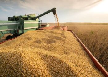 La agroindustria liquidó US$3.229 millones en septiembre, el tercer registro más alto de la historia