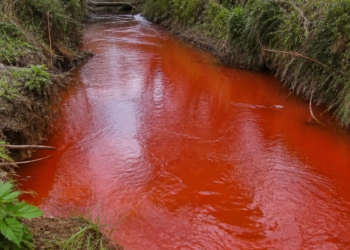 Preocupación por el arroyo que se tiñó de rojo en Entre Ríos: investigan posible bacteria en el agua
