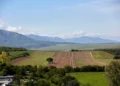 La Justicia ordenó preservar los registros sobre la propiedad de tierras rurales bonaerenses