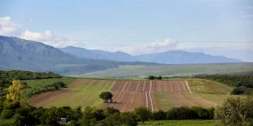La Justicia ordenó preservar los registros sobre la propiedad de tierras rurales bonaerenses